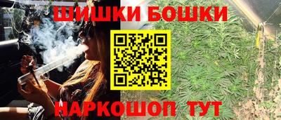 гидра Можга