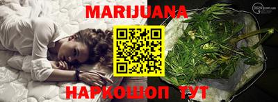гидра Можга